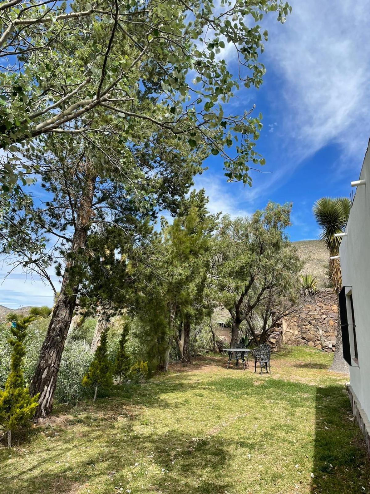 Ventana Al Desierto Guest House Catorce Екстериор снимка