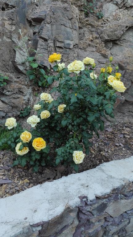 Ventana Al Desierto Guest House Catorce Екстериор снимка